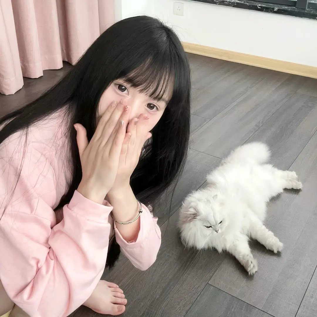 贤婿