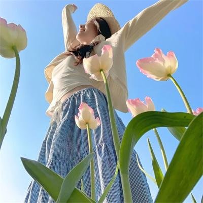 白莲花
